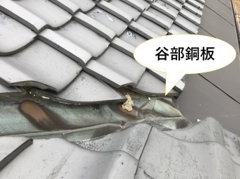 谷部