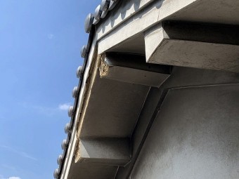 破風板の漆喰も剥がれています。