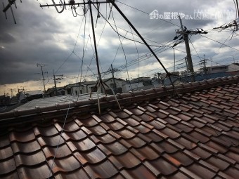 屋根全景
