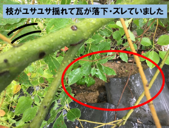 瓦落下