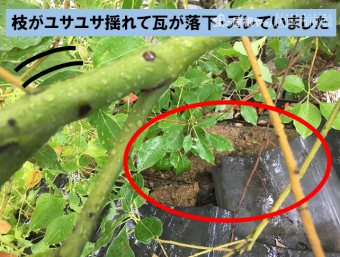 瓦落下