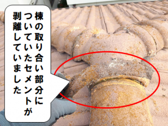 交野市 セメントの剥離