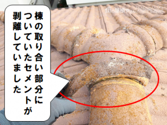 交野市 セメントの剥離