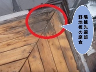 野地板の腐食