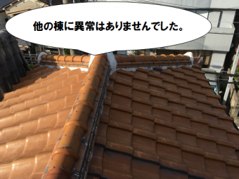 寝屋川市 異常なしの棟