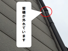 守口市 竪樋が外れています