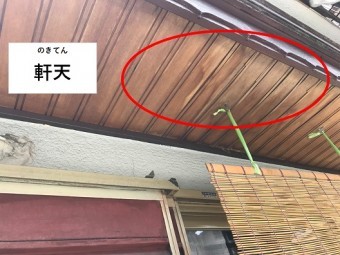 庇の軒天