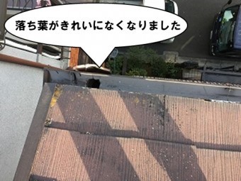 落ち葉が無くなりました