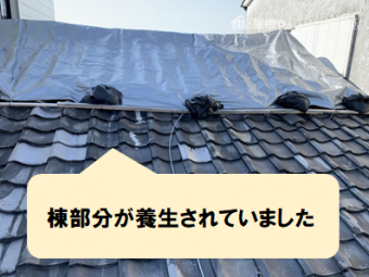 守口市 棟部分が養生されていました