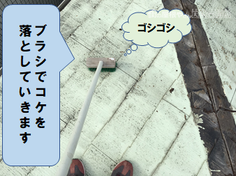 高槻市 コケをブラシで掃除します