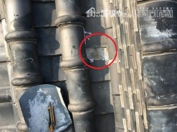 応急処置