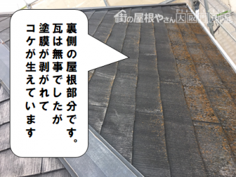 寝屋川市 屋根にコケが生えています