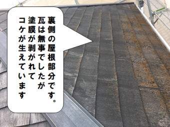 寝屋川市 屋根にコケが生えています
