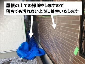 壁が汚れないように養生