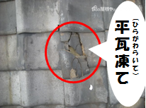 平瓦の凍て