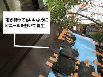 シートで養生
