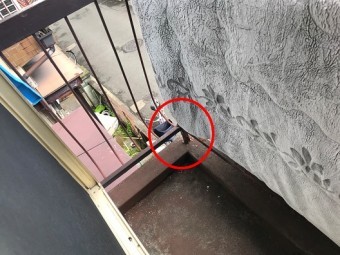 ベランダの手すり