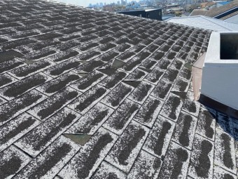 守口市 アスファルトシングル材屋根の劣化状況