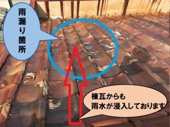 棟瓦からも雨水が浸入しています
