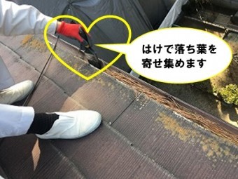 はけで集めます