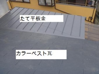 完成写真