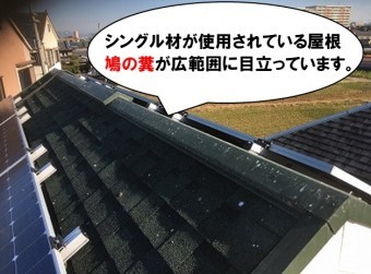 シングル屋根鳩の糞が目立つ