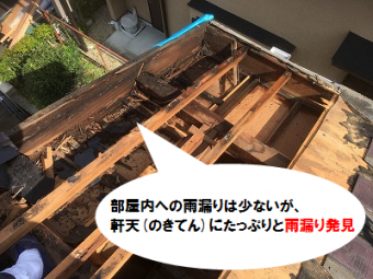 軒天で雨漏り発見