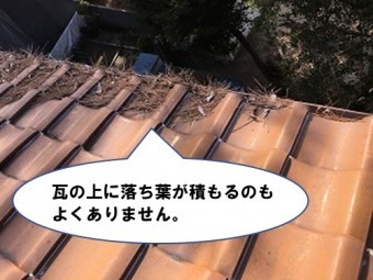 落ち葉が瓦に積もっている