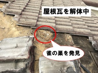 屋根瓦解体中