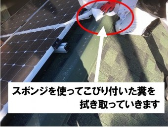 スポンジで拭き取る