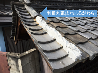 利根丸瓦(とねまる)
