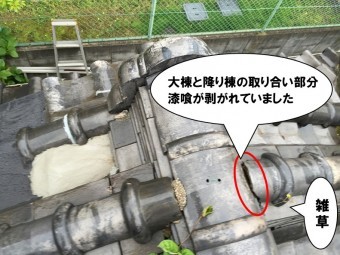 漆喰剥がれ、雑草も生えてる