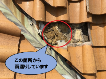 雨漏り箇所