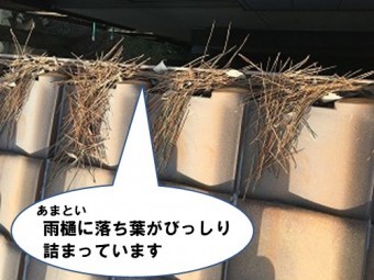 雨漏り修理 雨樋に落ち葉が詰まっている