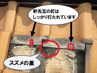 軒先瓦の状態、雀の巣