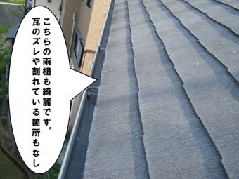 雨とい綺麗