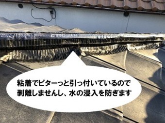 乾式自在面戸