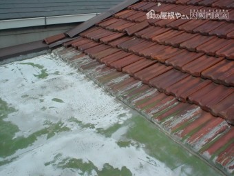 雨漏り