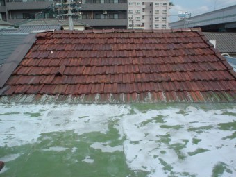 陸屋根