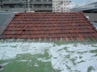 陸屋根