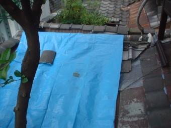 屋根現状