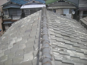 屋根全景