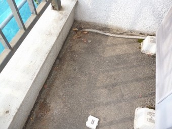 排水口も小さく詰まりやすい