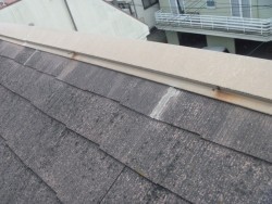 棟板金現状