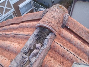 棟解体状況