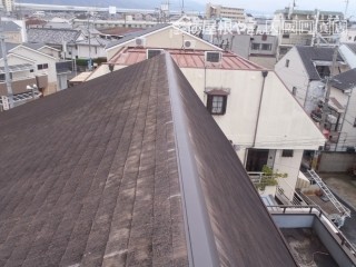 完成写真