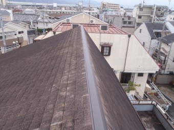 完成写真