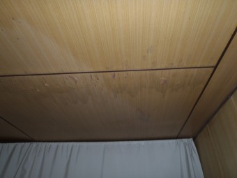 雨漏り現状