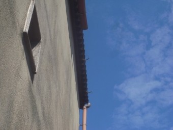 樋が一部欠損しております。