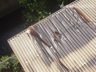 ベランダ上の塩ビ波板も劣化して穴があいていますね。